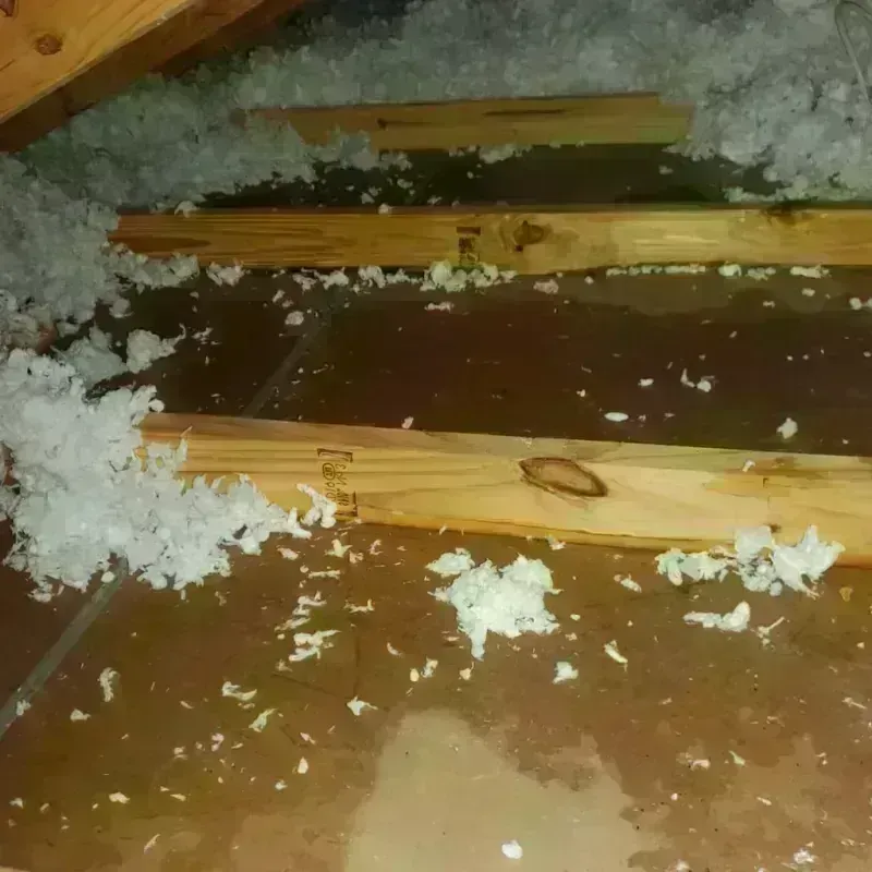 Attic Water Damage in Whitefish Bay, WI