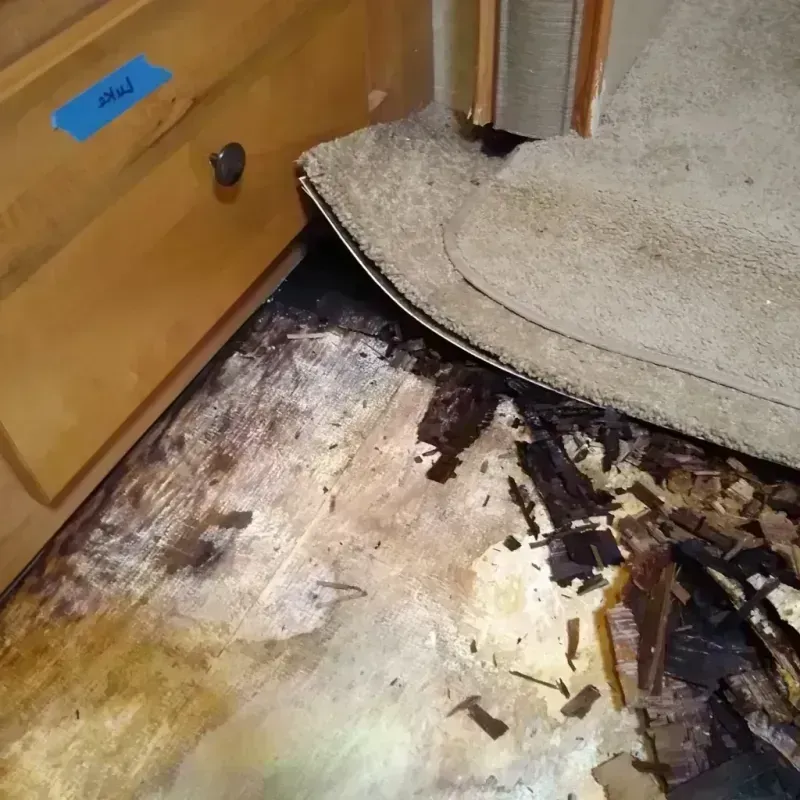 Best Wood Floor Water Damage Service in Whitefish Bay, WI